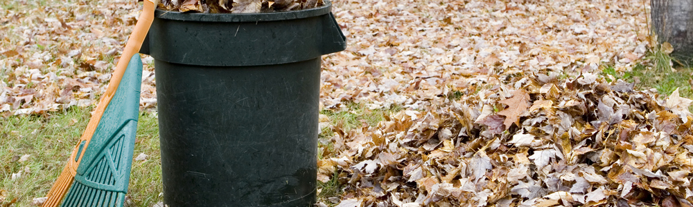 Garden Waste Clearance